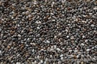 Premium Chia Seeds from Argentina