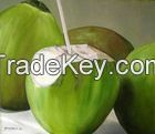 Fresh Young Green Coconut