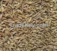 High Quality Cumin Seeds Available