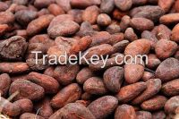 COCOA BEANS READY FOR EXPORT