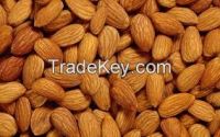 Raw Almond Nuts for Sale