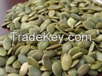 Shine Skin Pumpkin Seeds