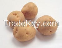 Vietnamse potato best offer, new crop 2014- Sapimex Vietnam