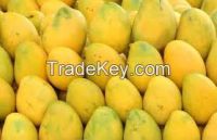 Fresh Mangoes