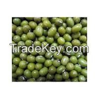 Green Mung Beans