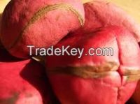 Kola Nuts