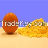 Albumin Powder from Egg