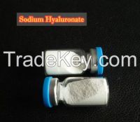 Hyaluronic Acid, food grade with the best price