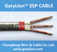 ESP Motor lead Extension Cable