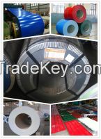 RAL COLORED GALVANIZED STEEL SHEET IN COILS