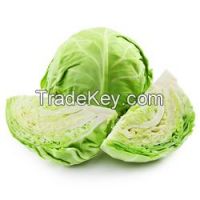 Fresh Cabbage