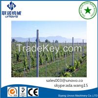 Galvanized steel vineyard pole