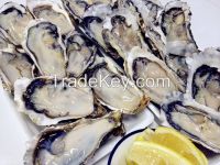 half-shelled oyster