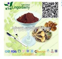 Maca Root Extract, maca root powder, 