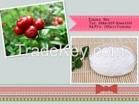 lingonberry, lingonberry extract