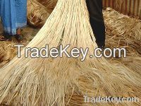 Exportation of raw jute and jute products