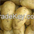 Wants to Export Fresh Potato