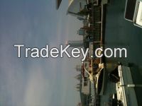 Good Freight Forwarder from China