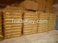 Hot Price ! Coconut Fiber Grade A