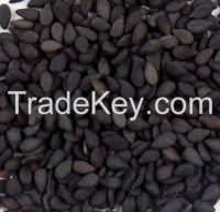 Sell Black Sesame Seeds