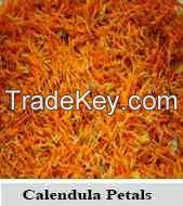 Calendula