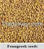 Fenugreek seeds