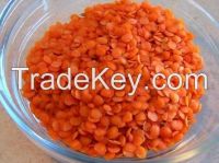 Red split Lentils