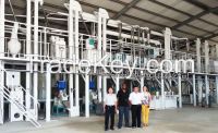 30T Maize/corn processing machine plant/corn grinding machine