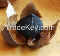 black garlic, fermented black garlic, black garlic for health