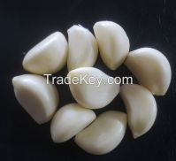 fresh peeled garlic