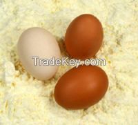 Chicken Eggs White And Brown Eggs