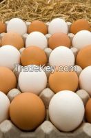 Fresh Chicken Eggs White And Brown Eggs