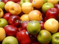 2014 Fresh Apple Of Fruit From Turkey