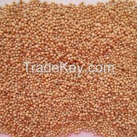 2014 new crop glutinous yellow broomcorn millet / proso millet