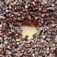 2014 new crop buckwheat