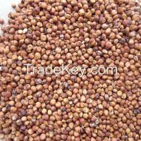 2014 new crop glutinous red / white sorghum