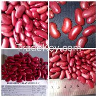 2014 new crop small red kidney bean