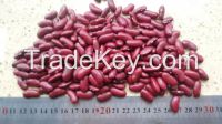 2014 new crop dark red kidney bean / DRKB