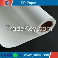 Selling Eco-solvent Printable PP-Paper
