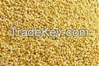 Yellow Millet and Red Millet