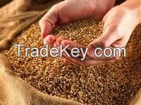 Milling Wheat, Feed Wheat, Buckwheat, Rye