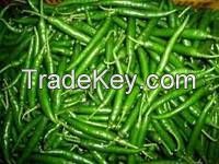 IQF Frozen Green Broad Beans