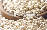 Rice Bran for animal feed