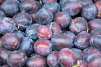 fresh plums