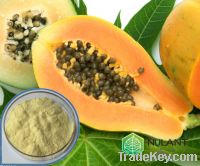 Papaya powder