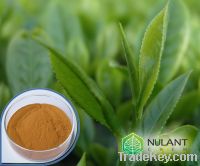 Green tea extract polyphenols supplier