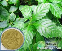 Gynostemma extract Gypenosides