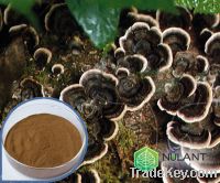 Coriolus versicolor mushroom Extract