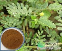 Sell Tribulus Terrestris extract 90% Saponins