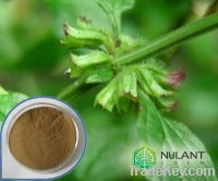 Lemon balm extract
